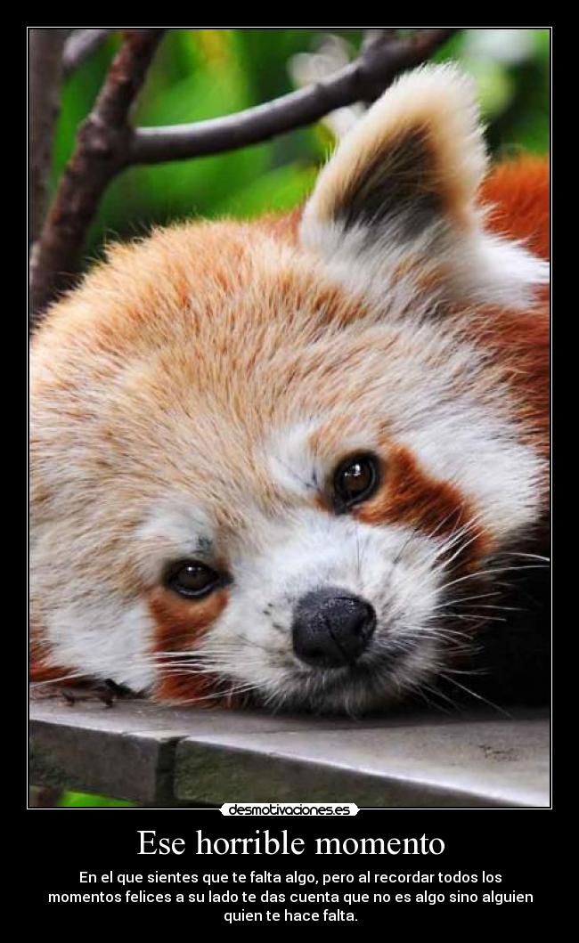 Ese horrible momento - En el que sientes que te falta algo, pero al recordar todos los
momentos felices a su lado te das cuenta que no es algo sino alguien
quien te hace falta.
