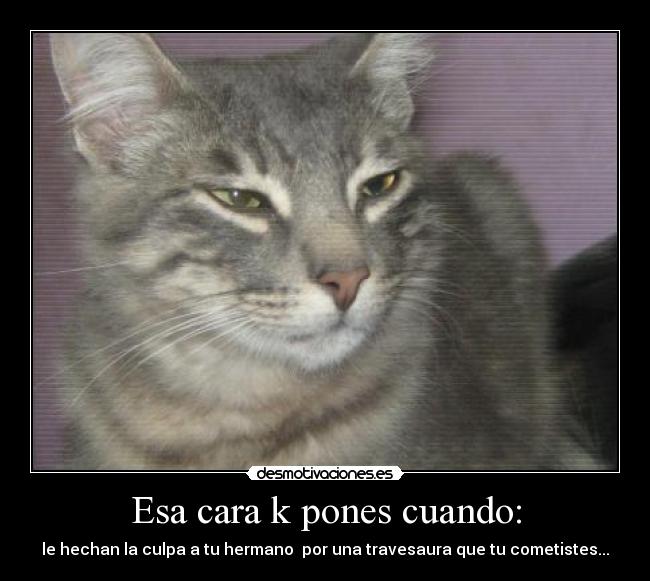 carteles travesura placer dolor sangre alegria desmotivaciones