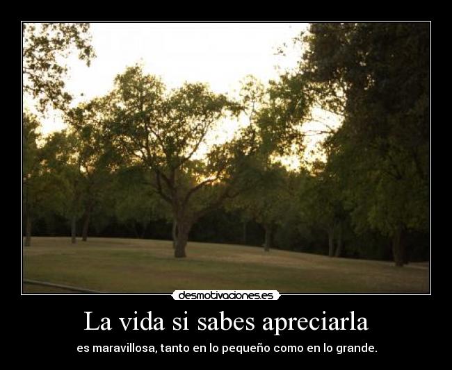 La vida si sabes apreciarla - es maravillosa, tanto en lo pequeño como en lo grande.