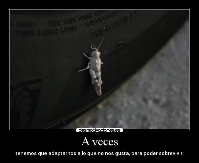 A veces - tenemos que adaptarnos a lo que no nos gusta, para poder sobrevivir.