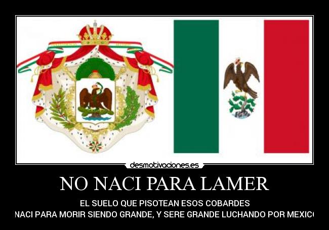 NO NACI PARA LAMER - EL SUELO QUE PISOTEAN ESOS COBARDES
!NACI PARA MORIR SIENDO GRANDE, Y SERE GRANDE LUCHANDO POR MEXICO¡