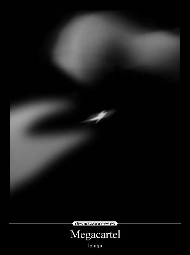 carteles megacartel desmotivaciones