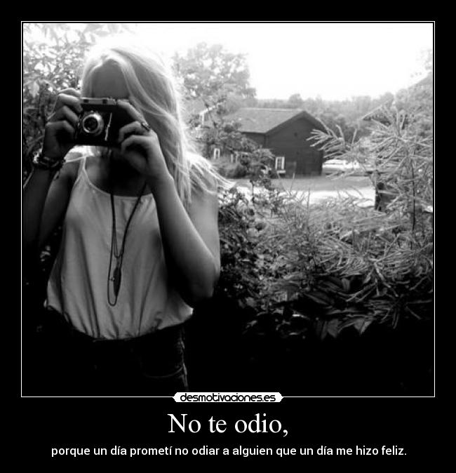 No te odio, -