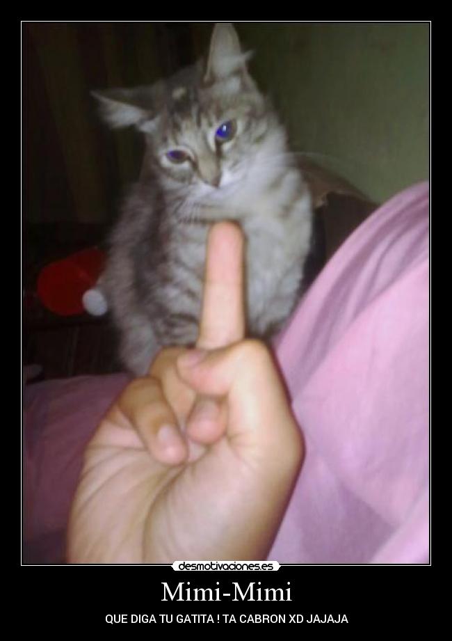 Mimi-Mimi - QUE DIGA TU GATITA ! TA CABRON XD JAJAJA