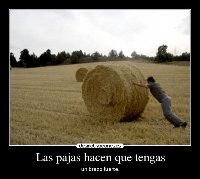 carteles las pajas ejercitan brazo desmotivaciones