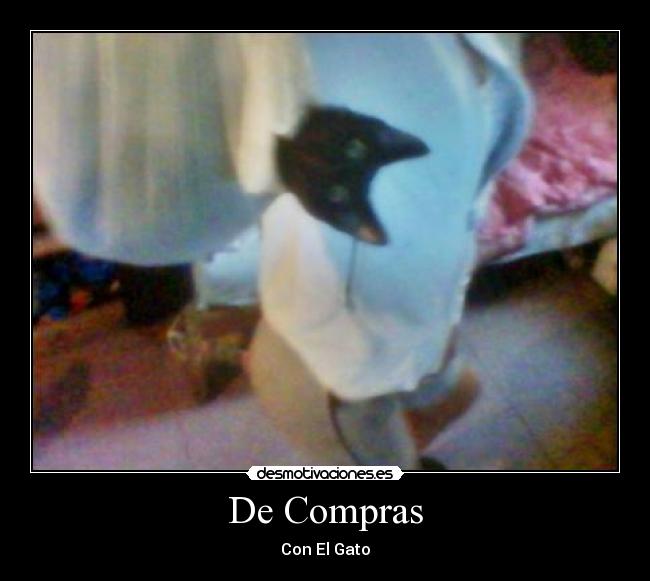 De Compras - Con El Gato