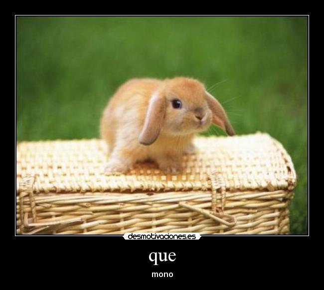 que - mono
