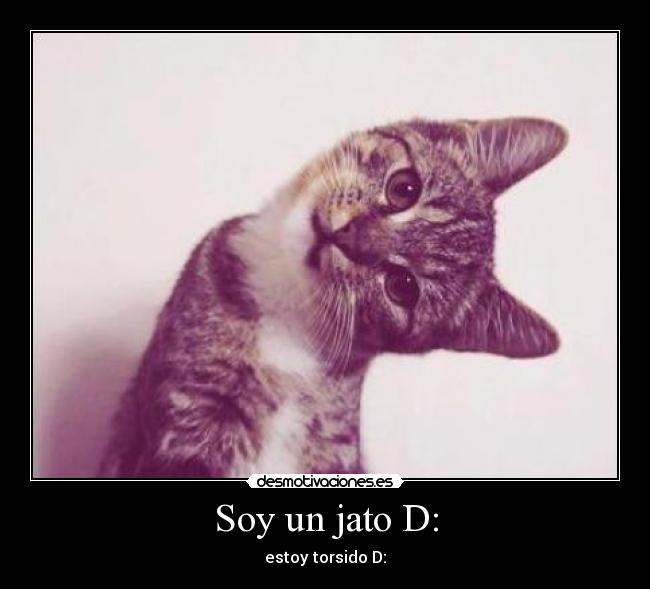 Soy un jato D: - estoy torsido D: