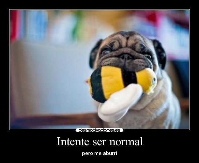 Intente ser normal -