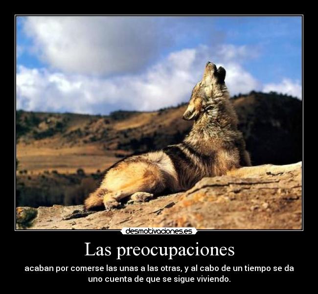 Las preocupaciones -