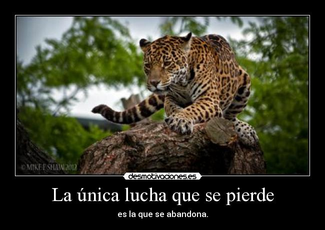 La única lucha que se pierde - 