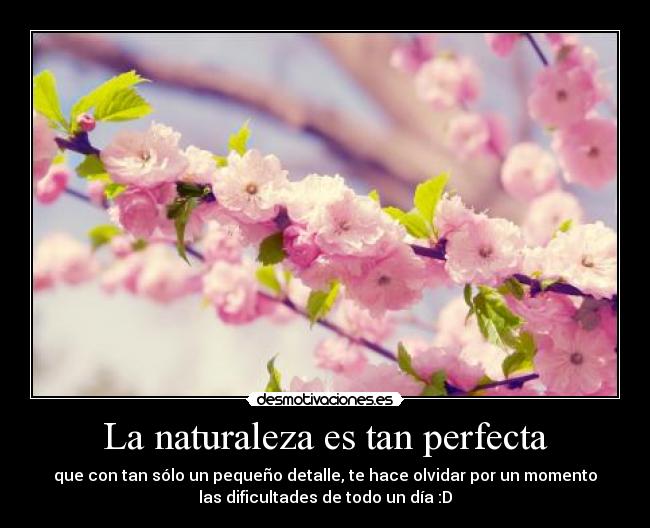 La naturaleza es tan perfecta - que con tan sólo un pequeño detalle, te hace olvidar por un momento
las dificultades de todo un día :D