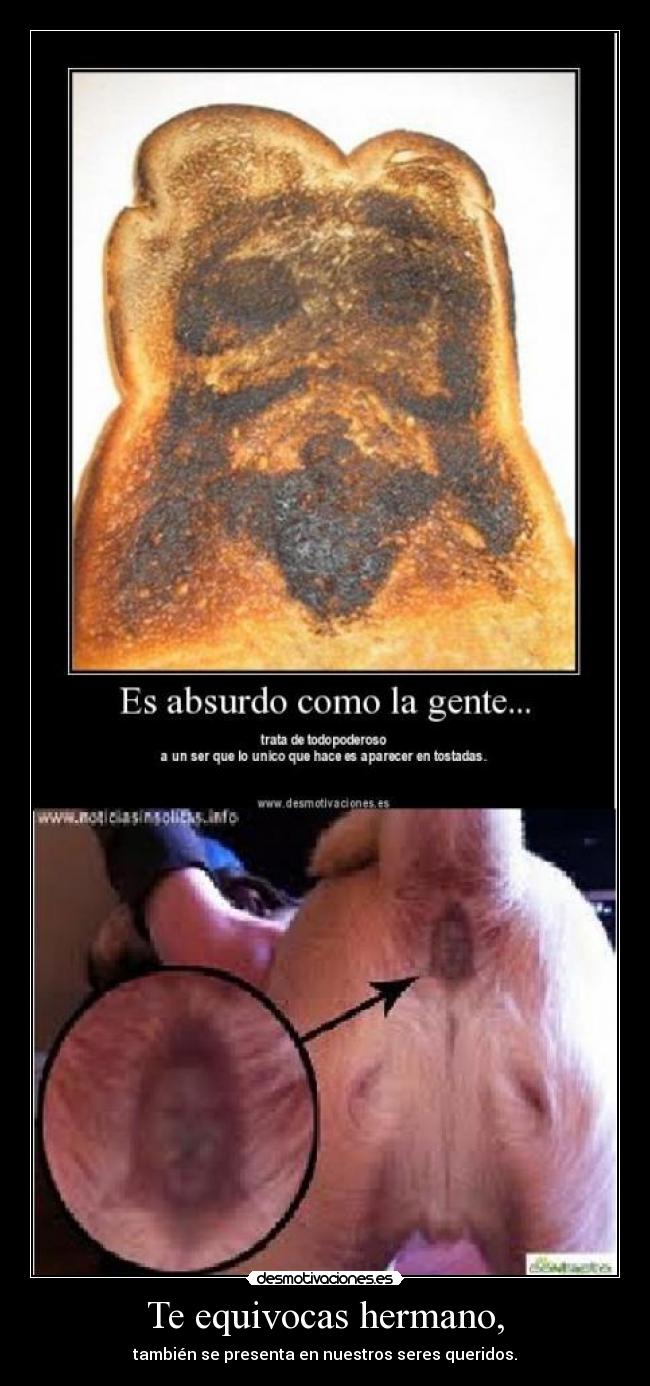 Te equivocas hermano, - 