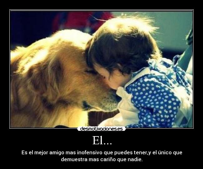 El... - Es el mejor amigo mas inofensivo que puedes tener,y el único que
demuestra mas cariño que nadie.