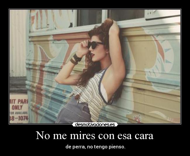 No me mires con esa cara - de perra, no tengo pienso.