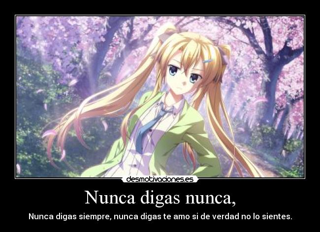Nunca digas nunca, -