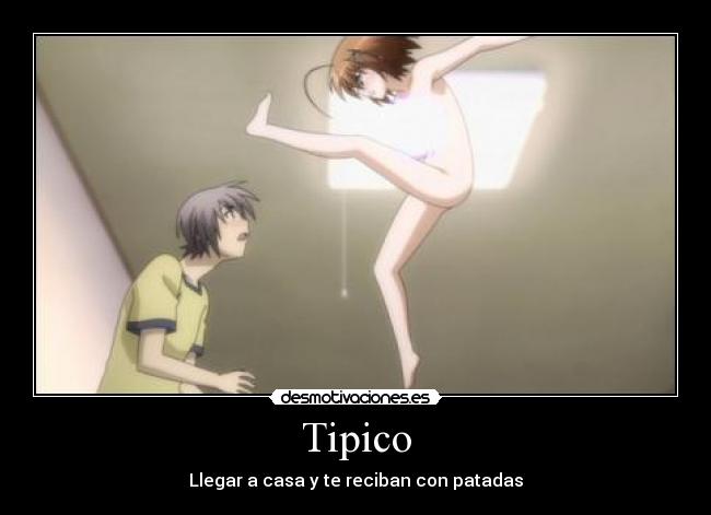 Tipico - 