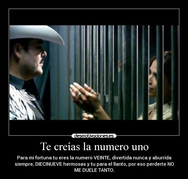Te creías la numero uno - Para mi fortuna tu eres la numero VEINTE, divertida nunca y aburrida
siempre, DIECINUEVE hermosas y tu para el llanto, por eso perderte NO
ME DUELE TANTO.