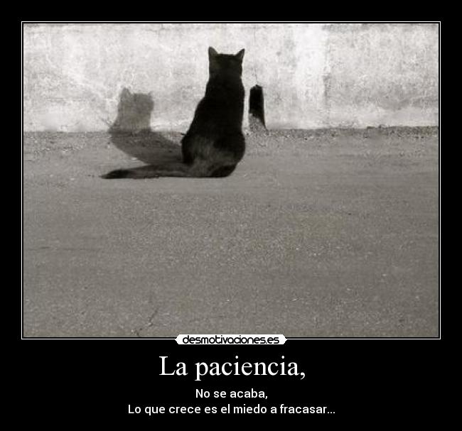 La paciencia, - 