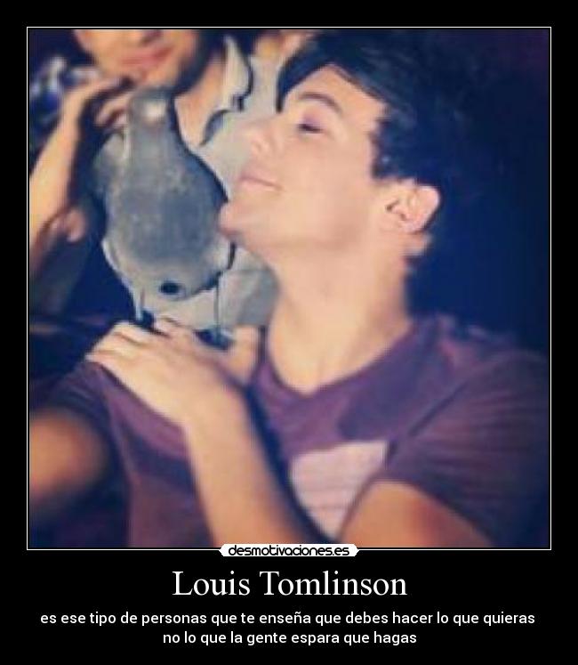Louis Tomlinson - es ese tipo de personas que te enseña que debes hacer lo que quieras 
no lo que la gente espara que hagas