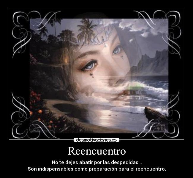 Reencuentro - 