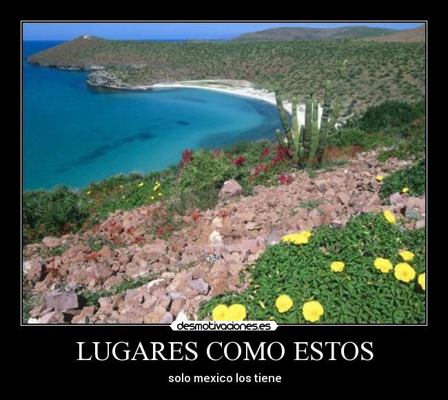 LUGARES COMO ESTOS - 