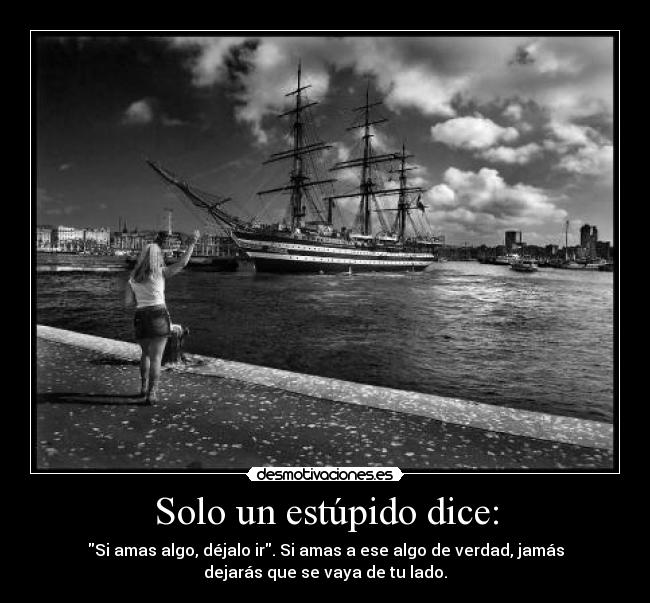 Solo un estúpido dice: - Si amas algo, déjalo ir. Si amas a ese algo de verdad, jamás
dejarás que se vaya de tu lado.
