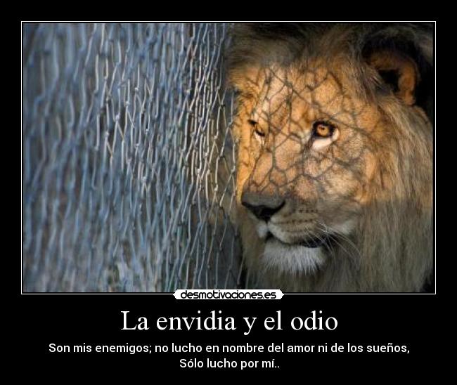 La envidia y el odio - Son mis enemigos; no lucho en nombre del amor ni de los sueños,
Sólo lucho por mí..