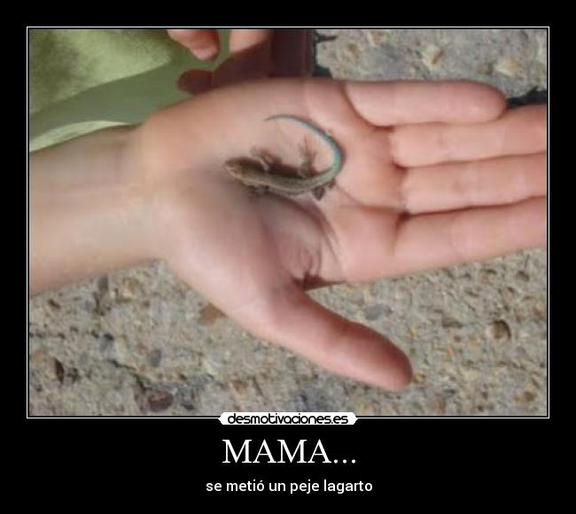 MAMA... - se metió un peje lagarto