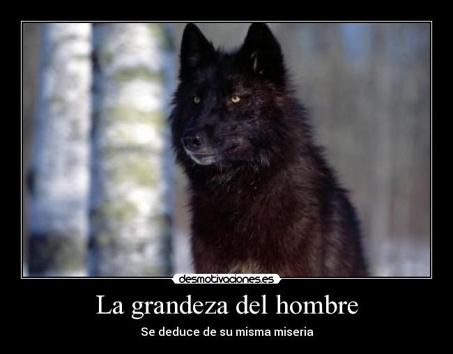 La grandeza del hombre - Se deduce de su misma miseria