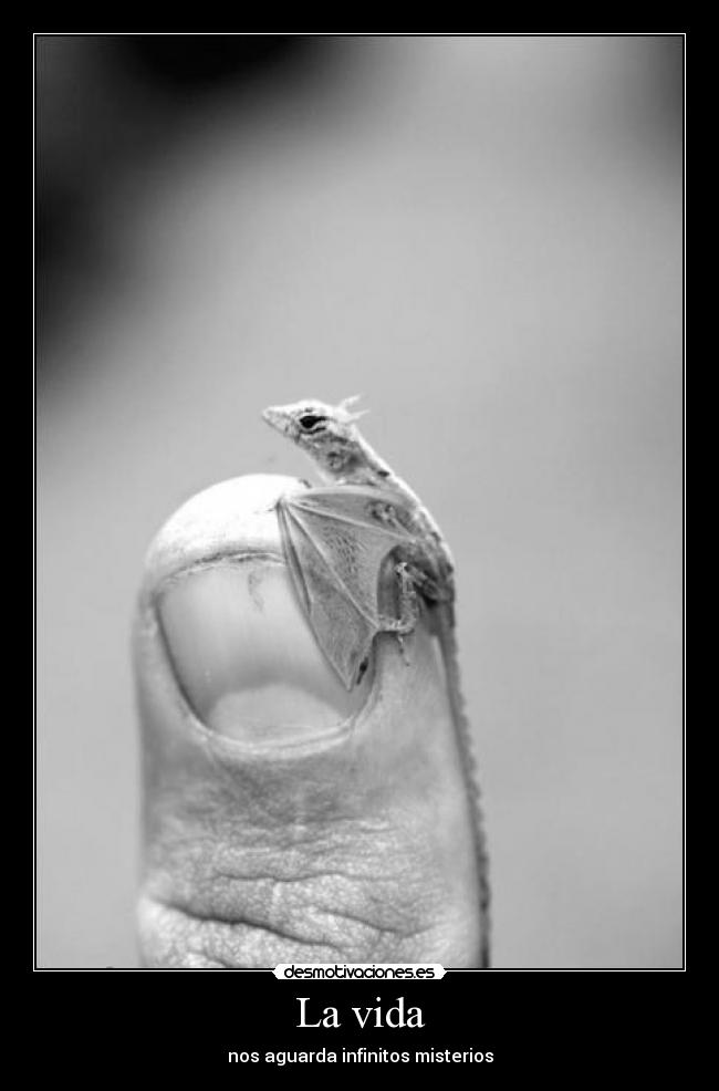 La vida - nos aguarda infinitos misterios