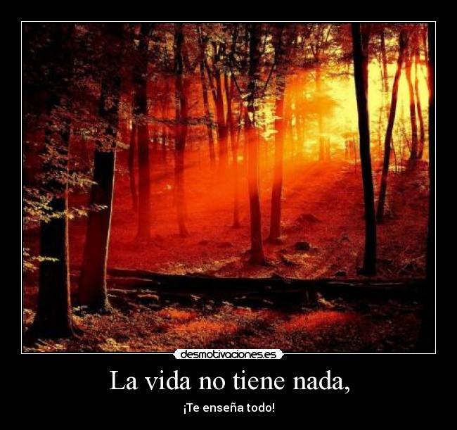 La vida no tiene nada, - ¡Te enseña todo!