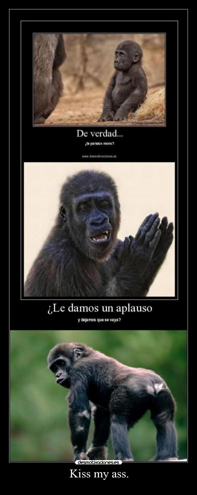 carteles clanotao flr clanpitufo los monos son unos vacilones desmotivaciones