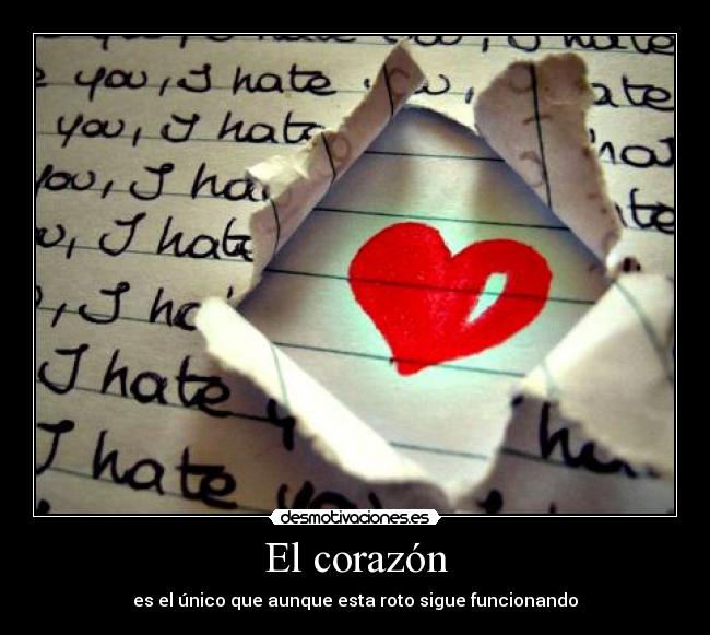 El corazón -
