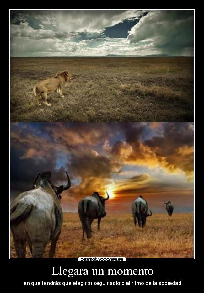 Llegara un momento - en que tendrás que elegir si seguir solo o al ritmo de la sociedad