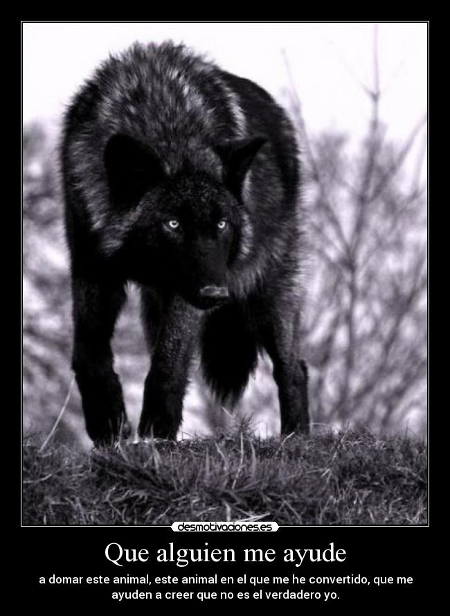 Que alguien me ayude - a domar este animal, este animal en el que me he convertido, que me
ayuden a creer que no es el verdadero yo.