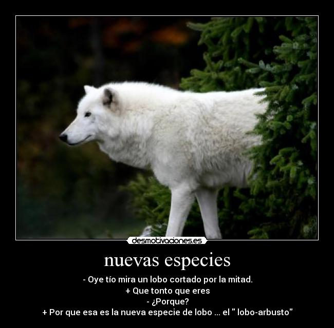 nuevas especies - 