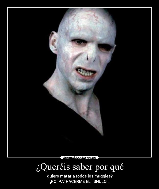 carteles desmoclan voldemort chulo diario patricia muggles muerte desmotivaciones