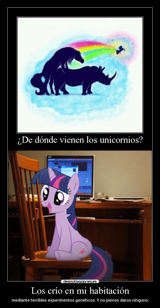 carteles 223 que quede claro que esa habitacion esa foto encontre asi know your meme desmotivaciones