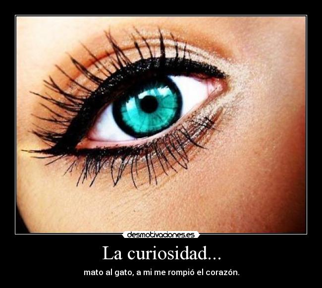 La curiosidad... - mato al gato, a mi me rompió el corazón.