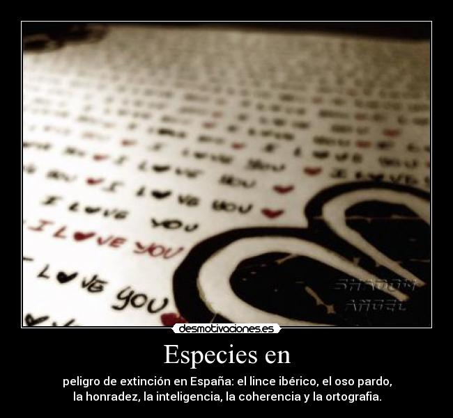 Especies en - peligro de extinción en España: el lince ibérico, el oso pardo,
la honradez, la inteligencia, la coherencia y la ortografia.