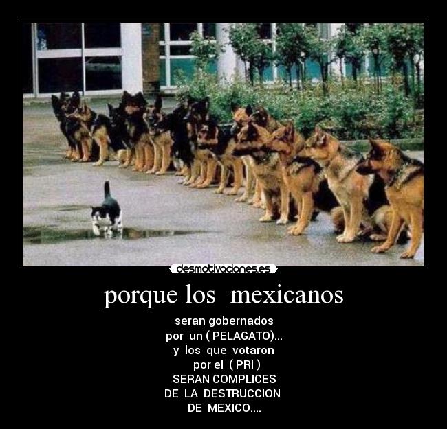 porque los mexicanos - seran gobernados
por un ( PELAGATO)...
y los que votaron
por el ( PRI )
SERAN COMPLICES
DE LA DESTRUCCION
DE MEXICO....