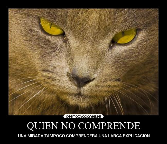 carteles none desmotivaciones