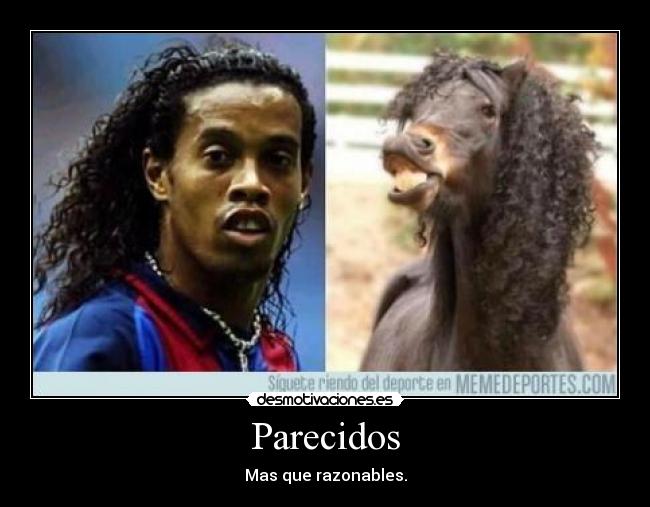 Parecidos - Mas que razonables.