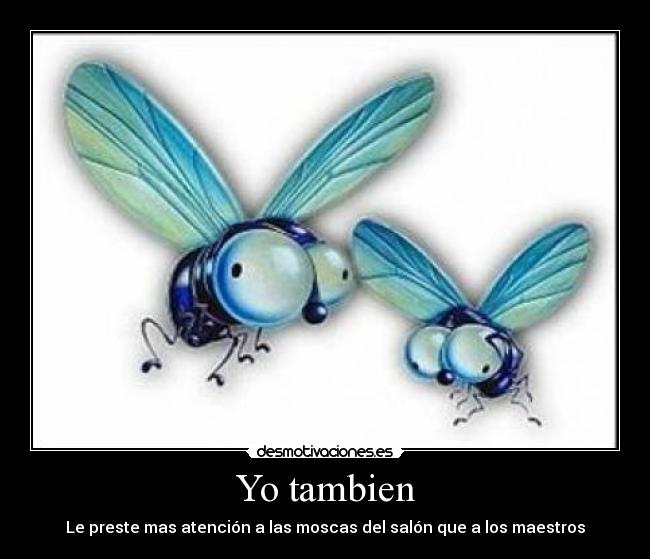 Yo tambien - Le preste mas atención a las moscas del salón que a los maestros