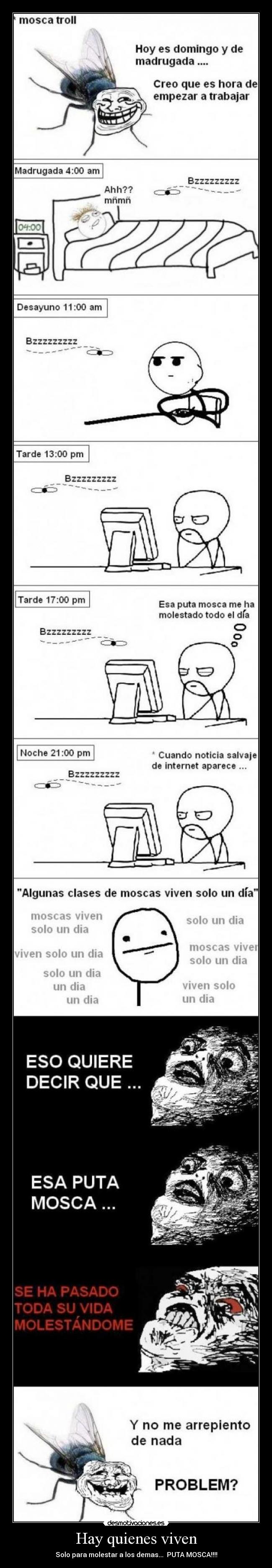 Hay quienes viven - Solo para molestar a los demas... PUTA MOSCA!!!!