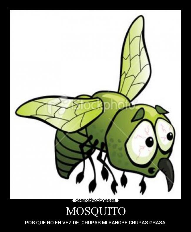 MOSQUITO - POR QUE NO EN VEZ DE CHUPAR MI SANGRE CHUPAS GRASA.