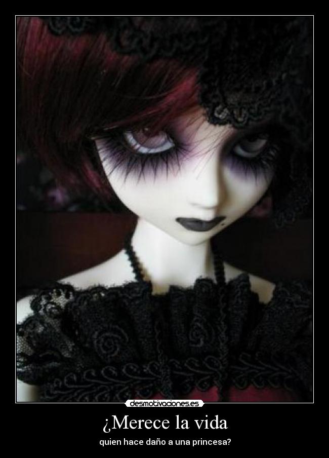 carteles vida siento tamara perdoname por favor desmotivaciones