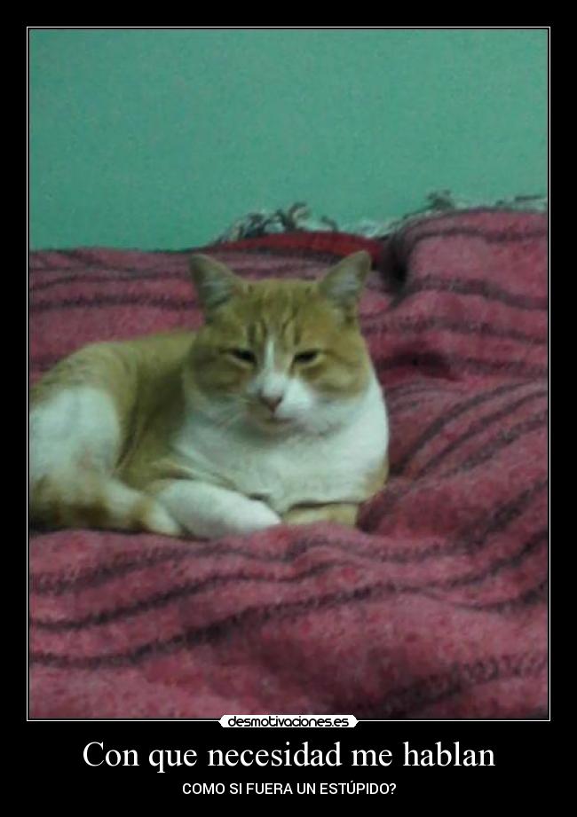 Con que necesidad me hablan - COMO SI FUERA UN ESTÚPIDO?