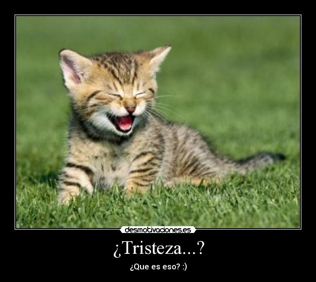 ¿Tristeza...? - ¿Que es eso? :)